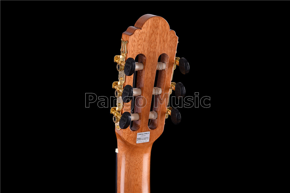 39 inch Spruce Top Classical Guitar (PCL-1602)