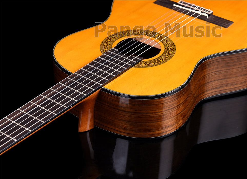 39 inch Spruce Top Classical Guitar (PCL-1602)