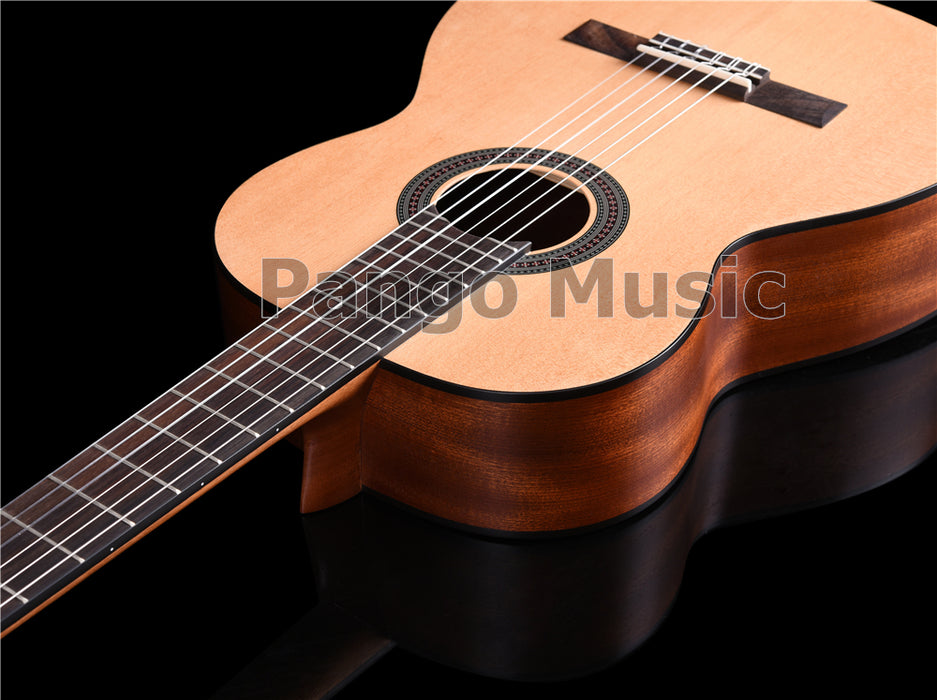 39 Inch Red Pine & Sapele Body Classical Guitar (PCL-1562)