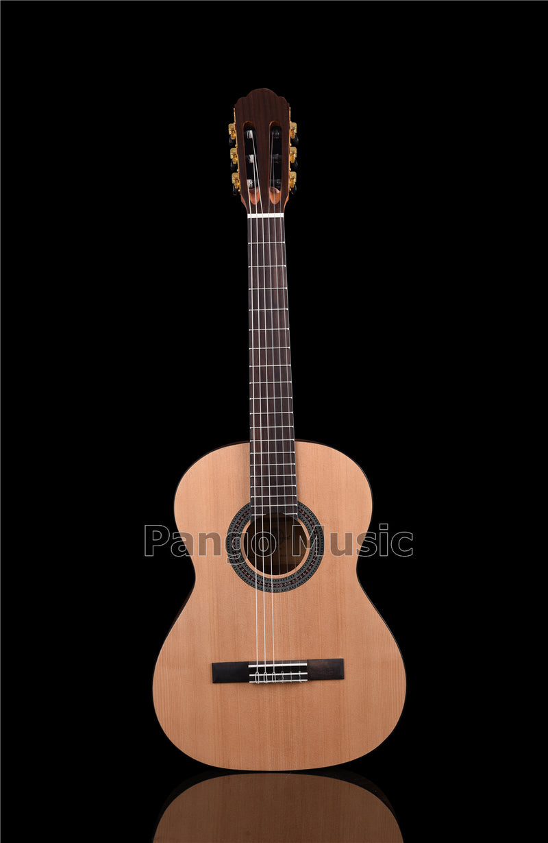 36 Inch Red Pine & Sapele Body Classical Guitar (PCL-1563)