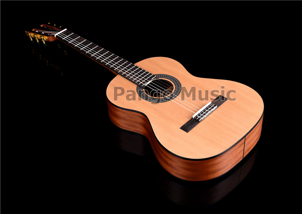 36 Inch Red Pine & Sapele Body Classical Guitar (PCL-1563)