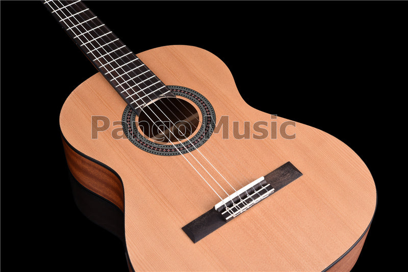 36 Inch Red Pine & Sapele Body Classical Guitar (PCL-1563)