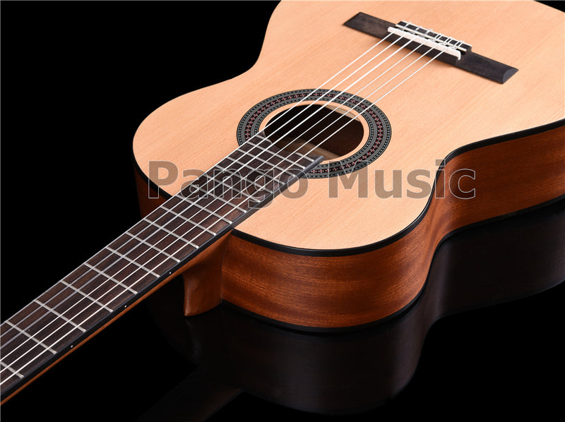 36 Inch Red Pine & Sapele Body Classical Guitar (PCL-1563)